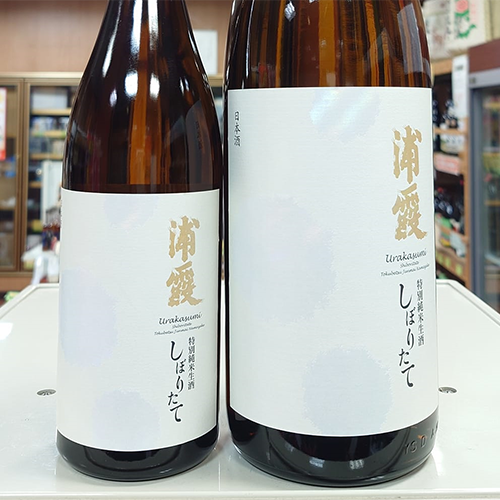浦 霞 特別純米生酒 しぼりたて